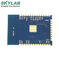 SKYLAB Top sale Webcam Micro Wifi Wireless 8266 Esp8266-12F Esp-07 Wireless Module